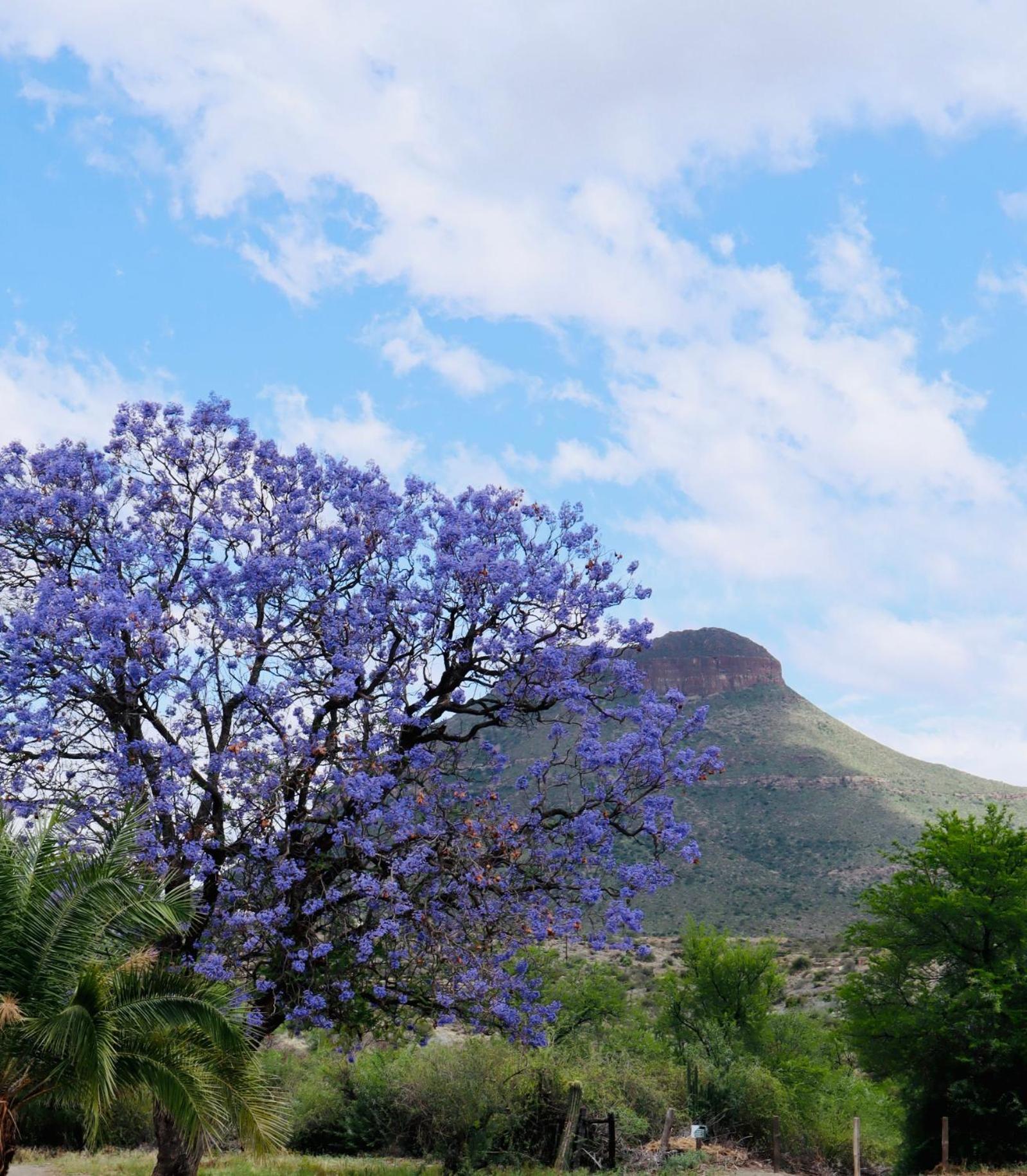 River Bend Guesthouses Graaff-Reinet Exterior foto